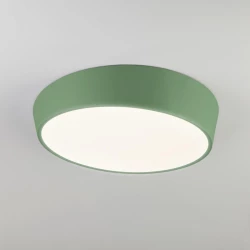 Больше о товаре Потолочный светодиодный светильник Eurosvet Visual 90113/1 зеленый