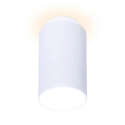 Больше о товаре Потолочный светодиодный светильник Ambrella light Techno Spot TN260
