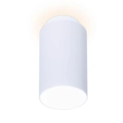Больше о товаре Потолочный светодиодный светильник Ambrella light Techno Spot TN261