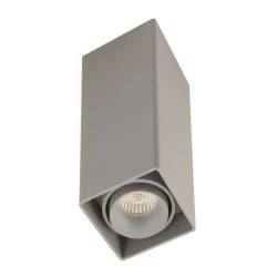 Больше о товаре Накладной светильник Donolux DL18611/01WW-SQ Silver Grey