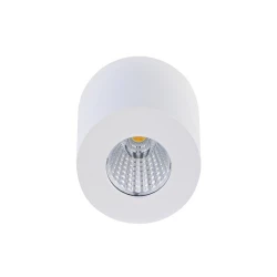 Больше о товаре Накладной светильник Donolux DL18812/7W White R