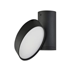 Больше о товаре Накладной светильник Donolux DL18811/23W Black R Dim