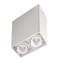 Больше о товаре Накладной светильник Donolux DL18611/02WW-SQ White