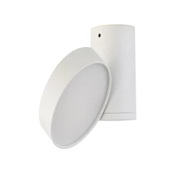 Больше о товаре Накладной светильник Donolux DL18811/23W White R Dim
