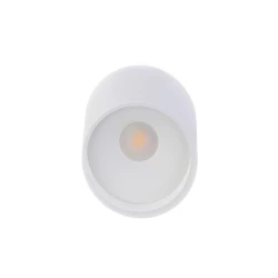 Больше о товаре Накладной светильник Donolux DL18440/01 White R Dim