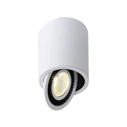 Больше о товаре Накладной светильник Donolux DL18700/11WW-White Dim