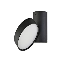 Больше о товаре Накладной светильник Donolux DL18811/15W Black R Dim