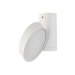 Больше о товаре Накладной светильник Donolux DL18811/15W White R Dim