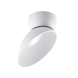 Больше о товаре Накладной светильник Donolux DL18429/11WW-White C