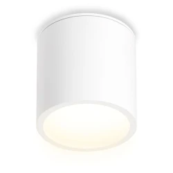 Больше о товаре Накладной светильник Ambrella Light IP Protect TN6550