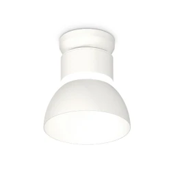 Больше о товаре Накладной светильник Ambrella Light Techno spot (N8901, C8101, N8140) XS8101046