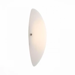 Больше о товаре Настенный светодиодный светильник ST Luce Snello SL508.511.01