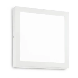 Больше о товаре Настенно-потолочный светодиодный светильник Ideal Lux Universal D40 Square