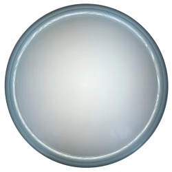 Больше о товаре Настенно-потолочный светильник Toplight Portia TL1128-1Y