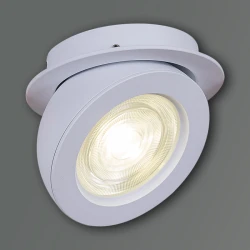 Больше о товаре Точечный светильник Reluce 84053-9.0-001QR COB10W WT